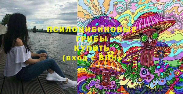 ПСИЛОЦИБИНОВЫЕ ГРИБЫ Лихославль