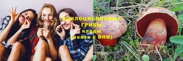 ПСИЛОЦИБИНОВЫЕ ГРИБЫ Лихославль
