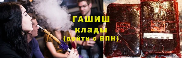 молекула духа Ладушкин
