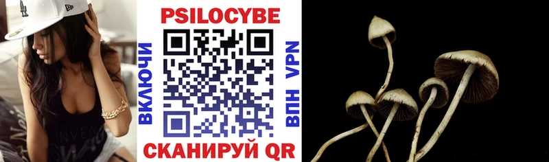 где можно купить наркотик  kraken рабочий сайт  Галлюциногенные грибы Cubensis  Нытва 